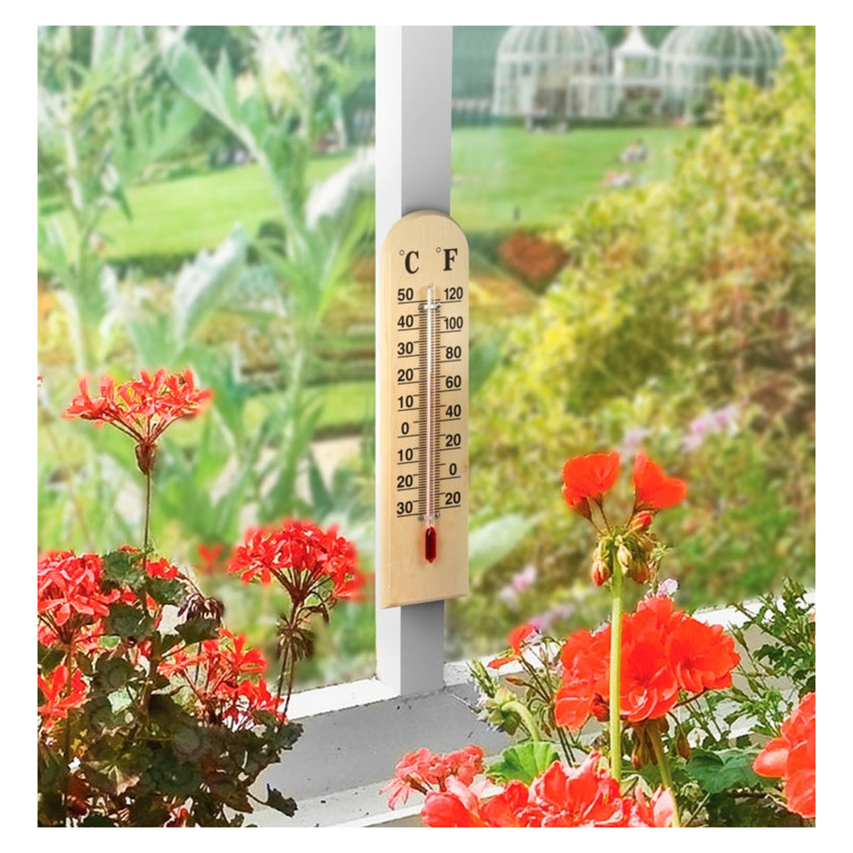 Ambassador 8 inch wooden thermometer