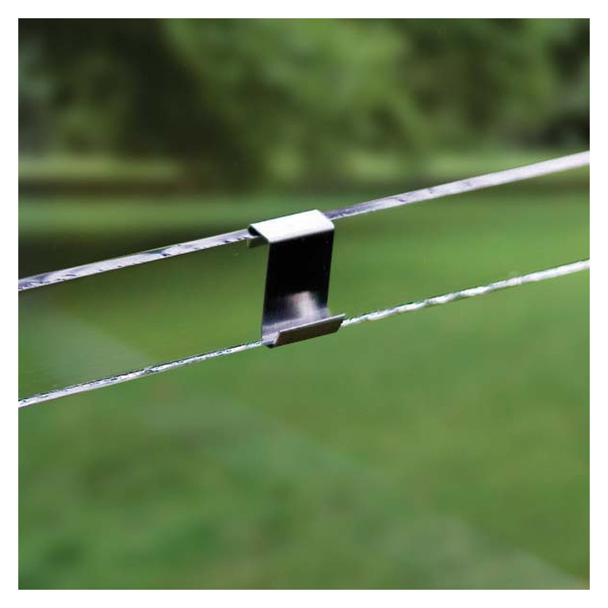 Pack of 25 Ambassador greenhouse Z clips
