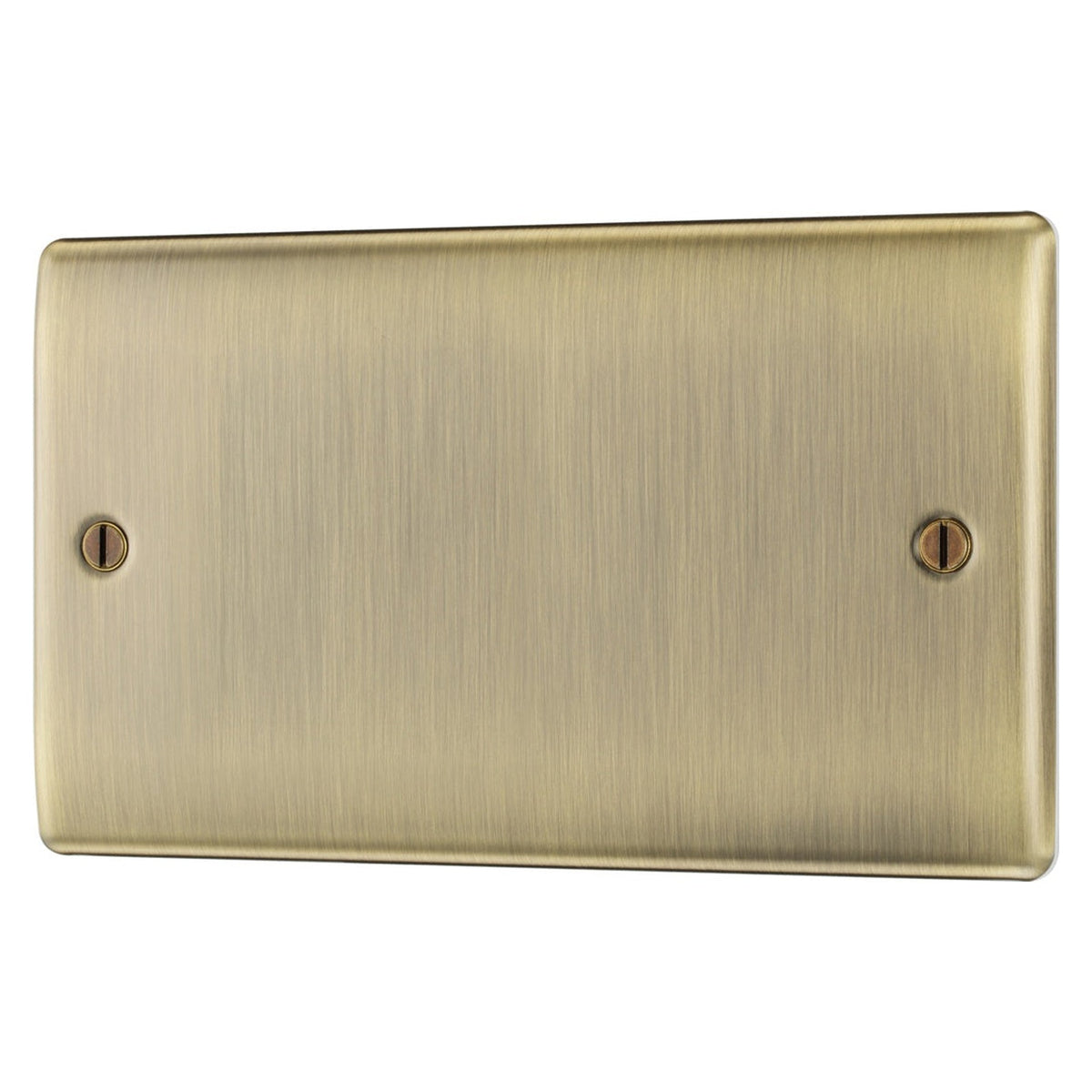 Antique Brass Double Blank Plate