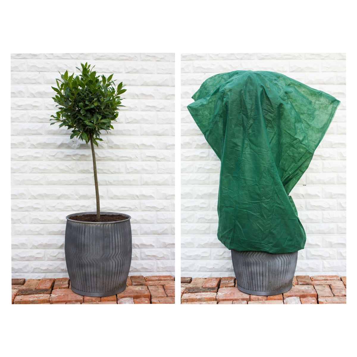 Apollo medium dark green fleece plant frost protection bag