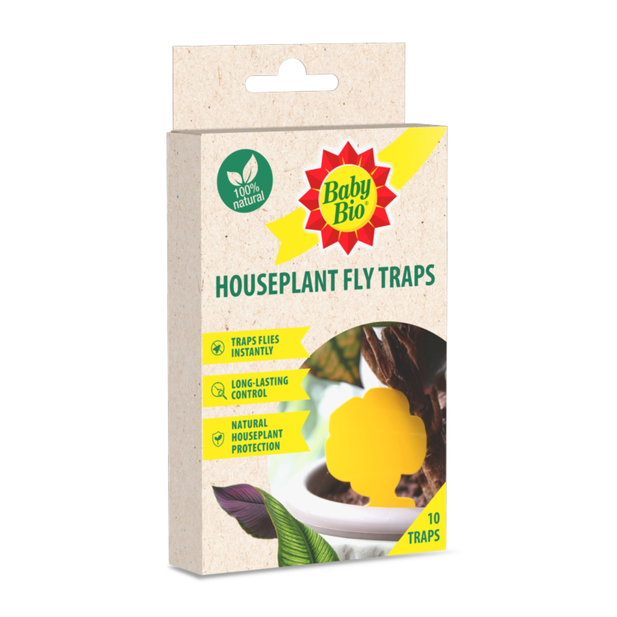 Baby Bio houseplant fly traps pack of 10
