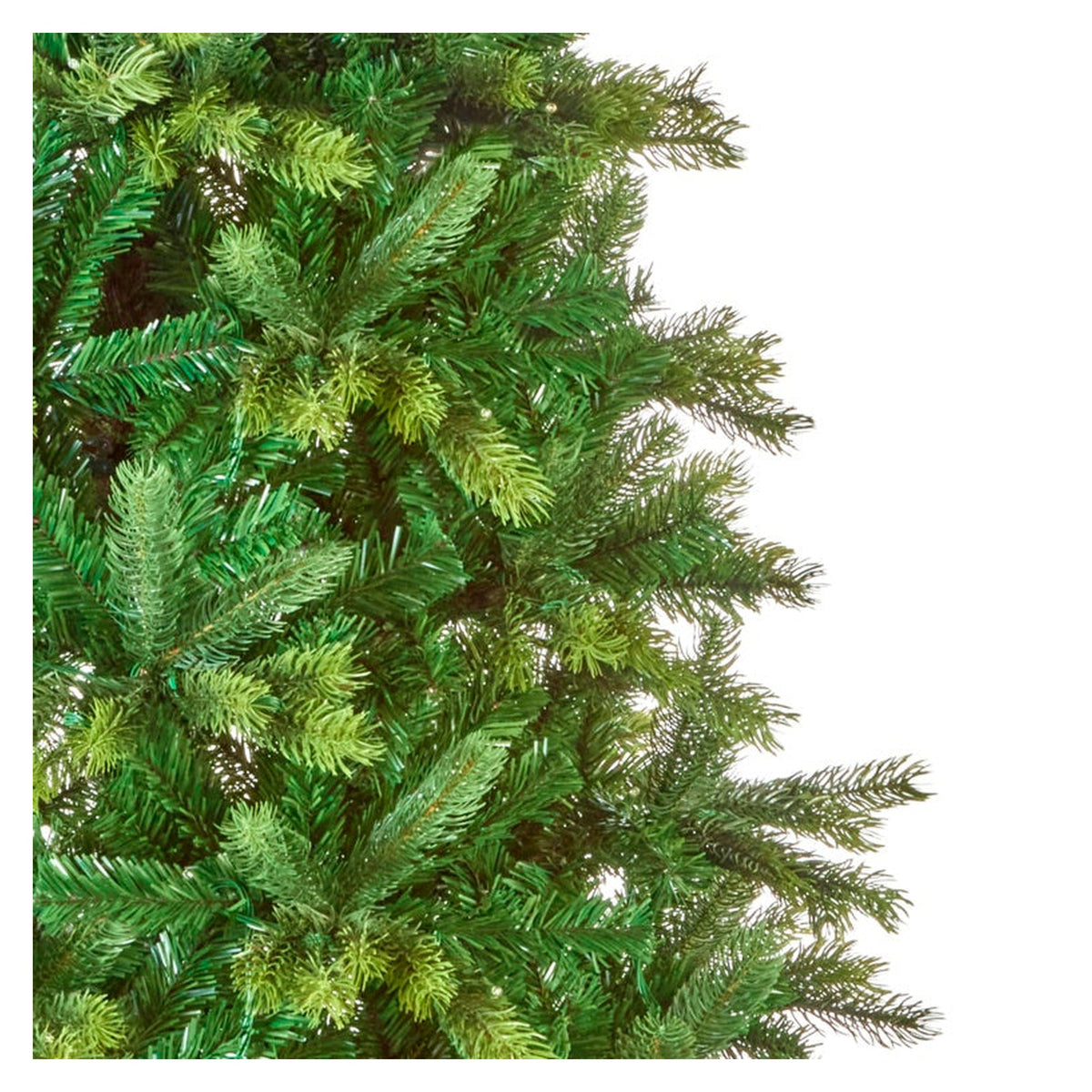 Barneswood Spruce Tree - 1.8m, view 3
