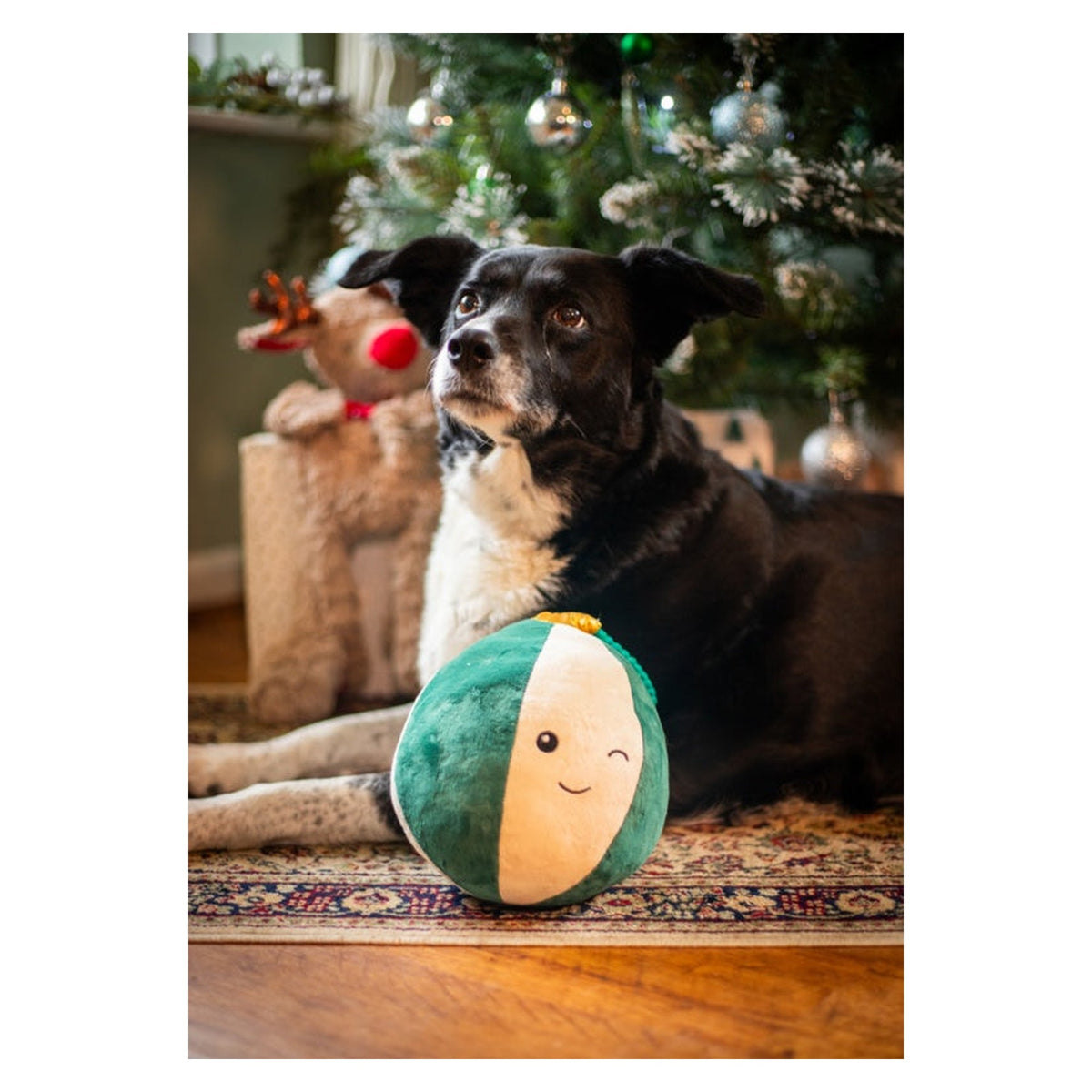 Blitzen Bauble, view 5