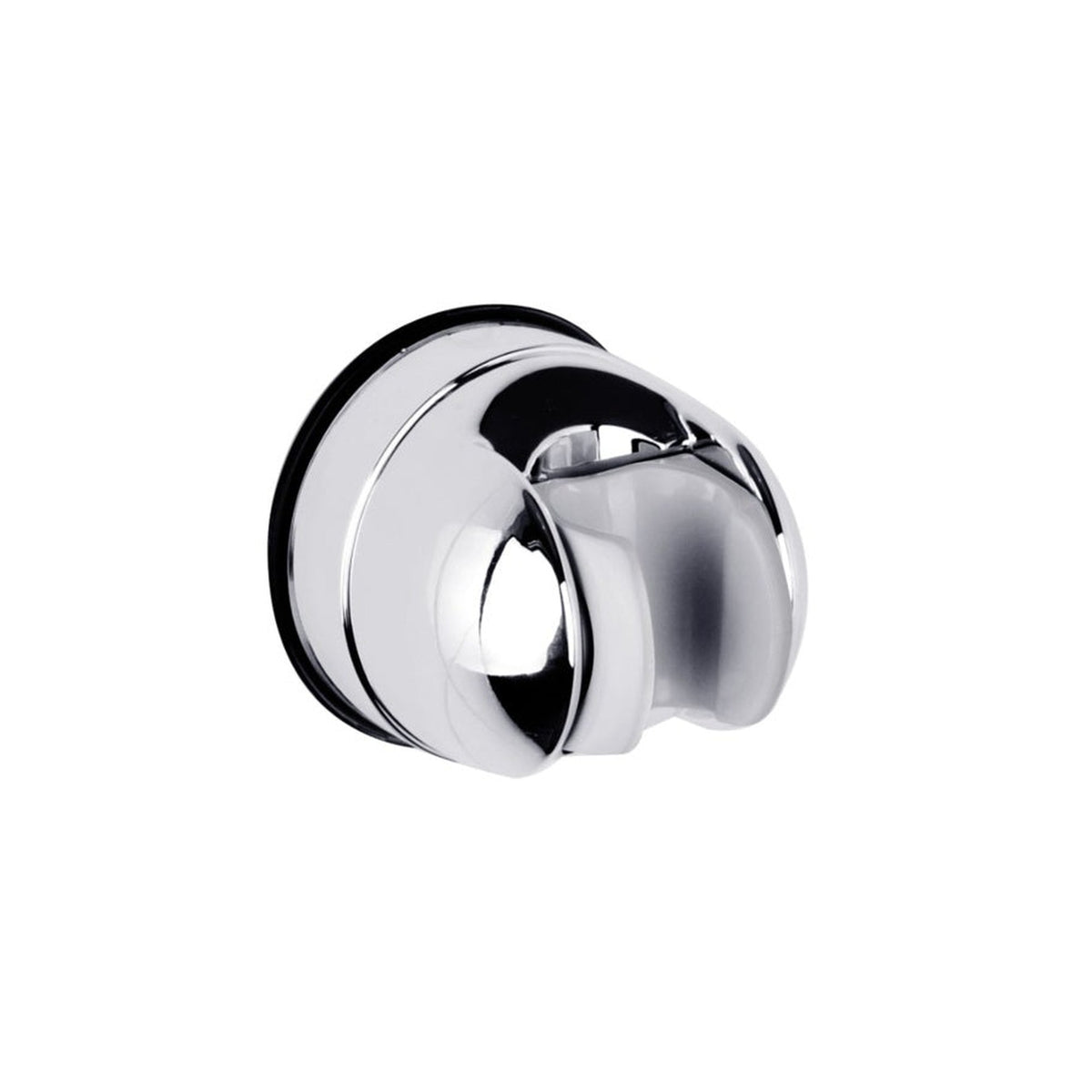 Blue Canyon Gecko tilting shower head holder in silver