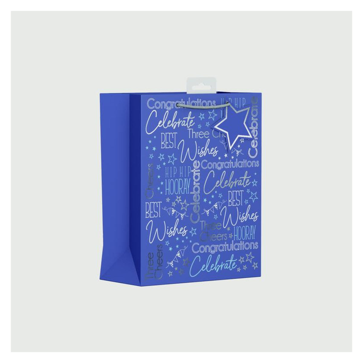 Blue Text Gift Bag - Medium