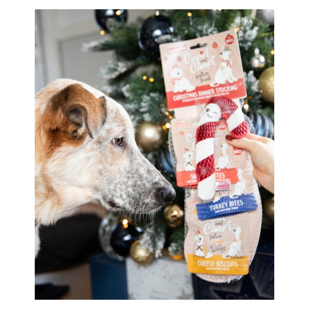 Christmas Dinner Dog Stocking, view 3