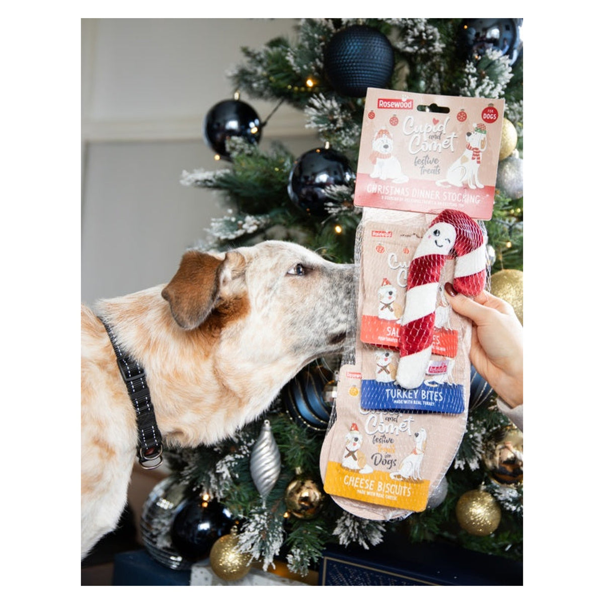 Christmas Dinner Dog Stocking, view 5
