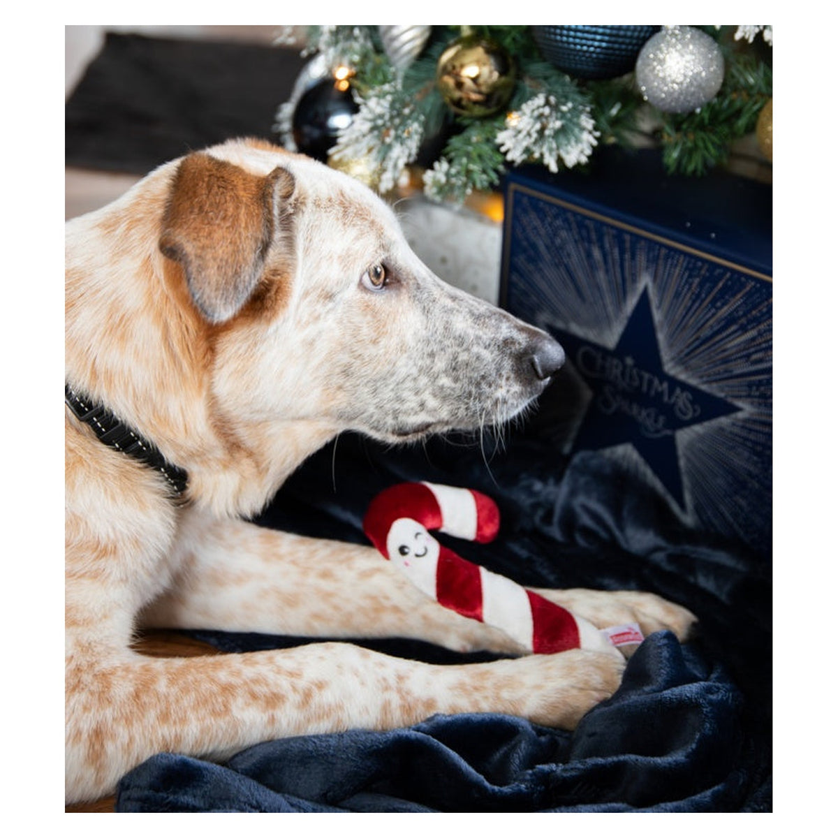 Christmas Dinner Dog Stocking, view 6