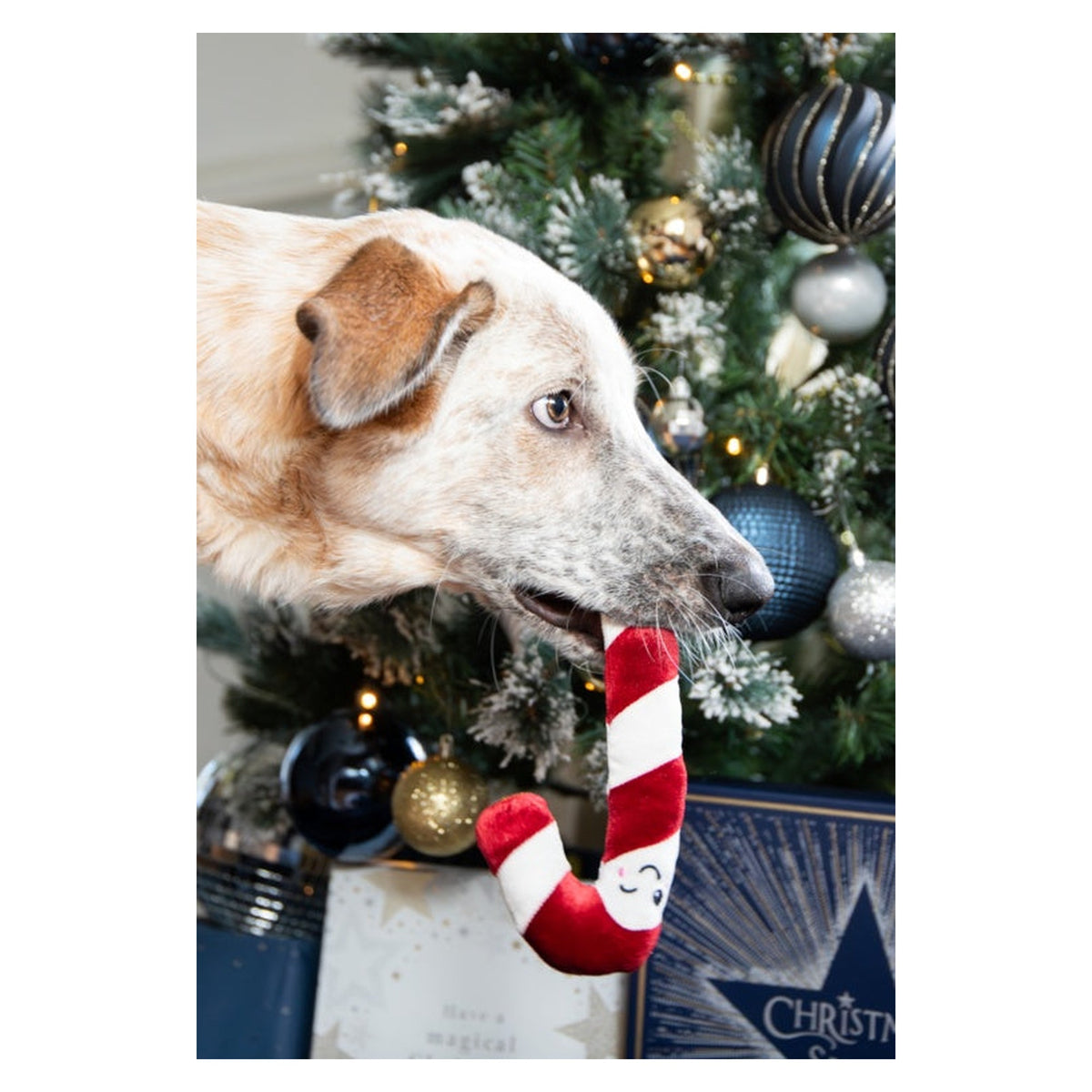 Christmas Dinner Dog Stocking, view 7