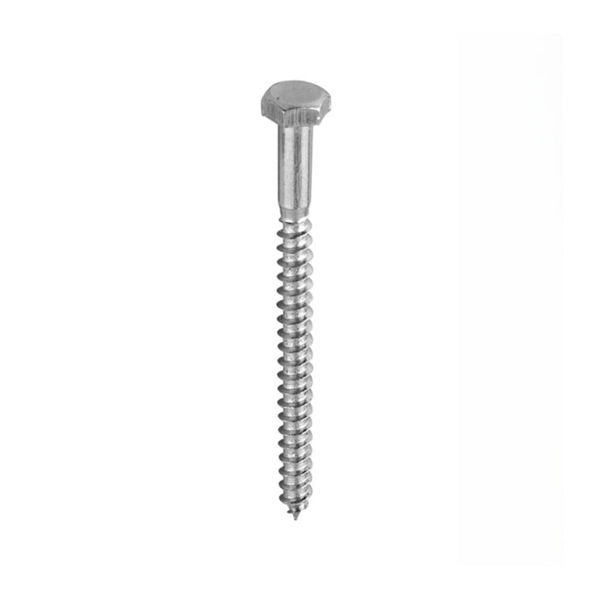 Coach Screws - M6x100mm 5 Pack
