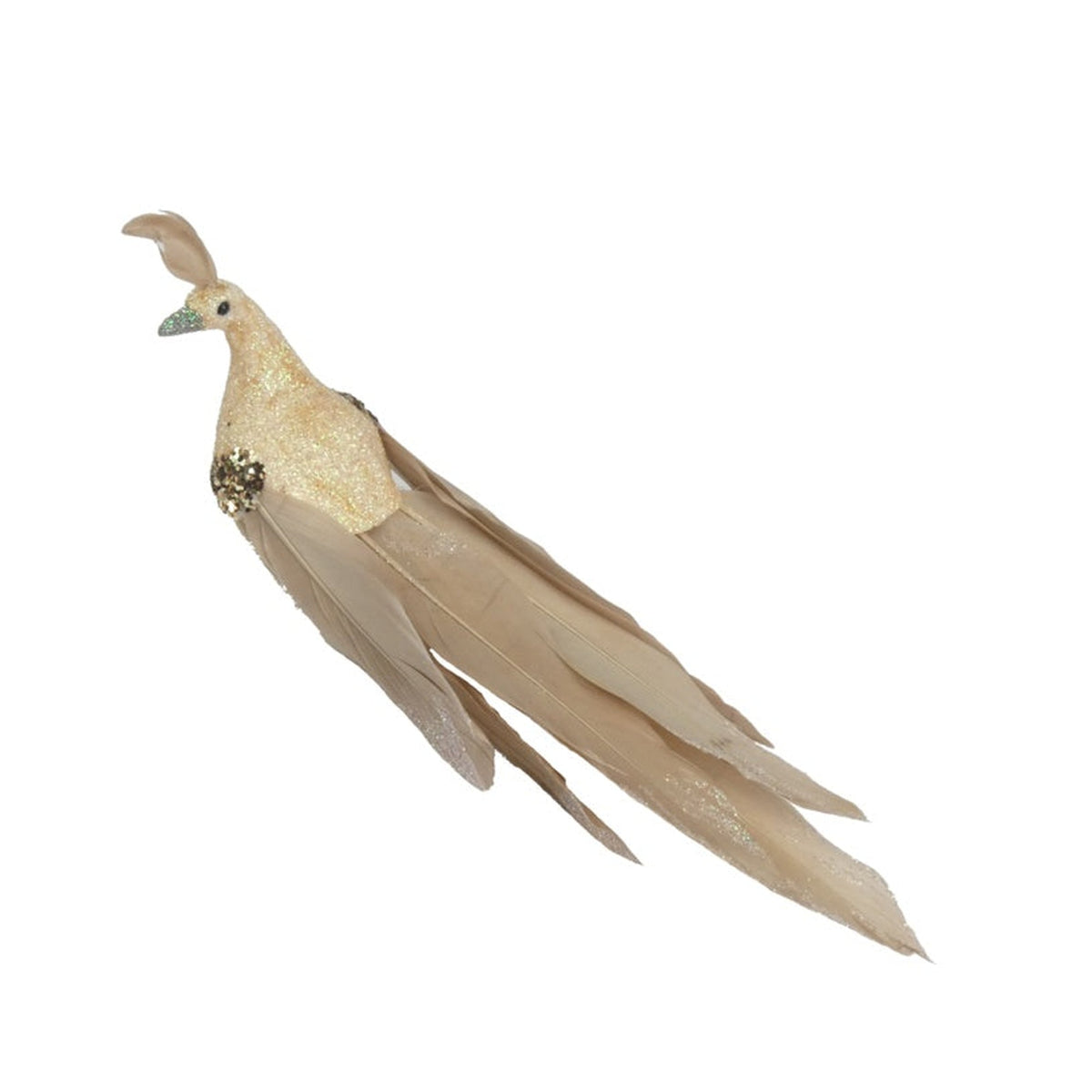 Davies Products champagne peacock feather 19cm