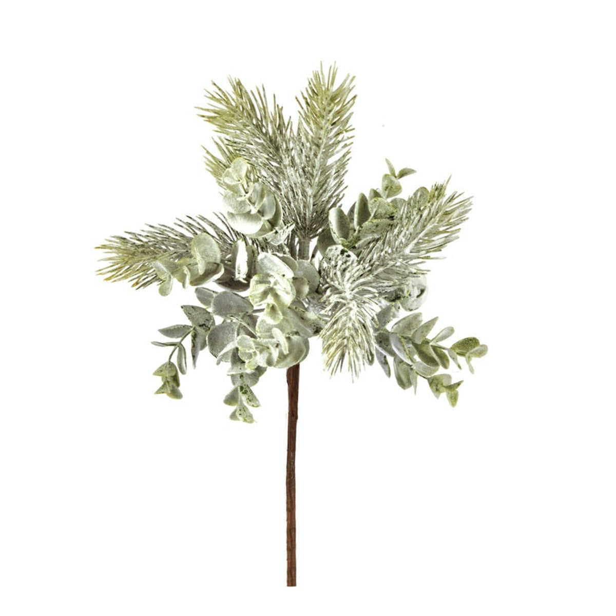 Eucalyptus Pick - 30cm