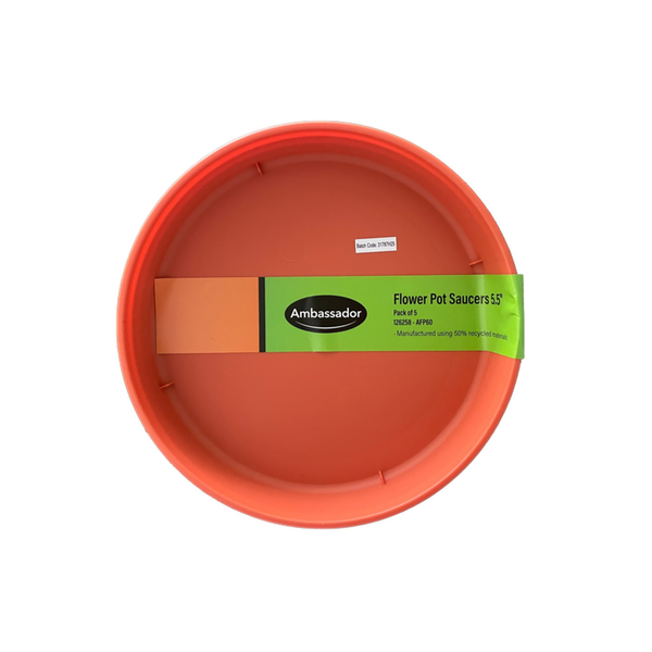 Flower Pot Saucer - 5-6" Pack 5