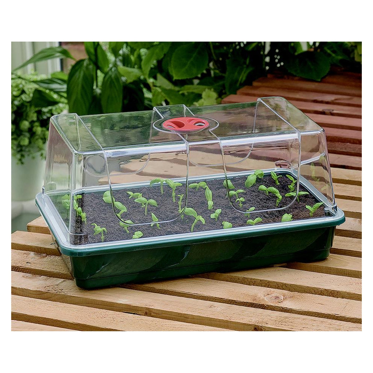 Garland large high dome propagator