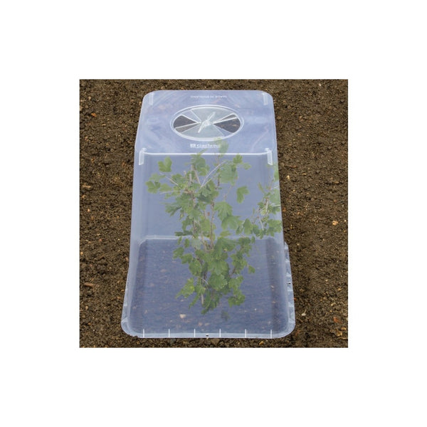 Garland 32cm square cloche cover