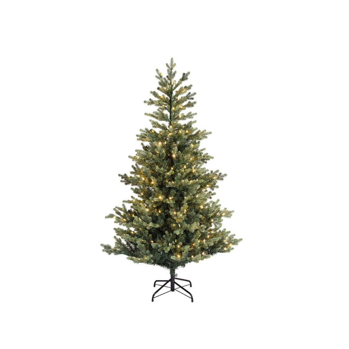 Geneva Fir With Warm White & Multi LEDs - 180cm