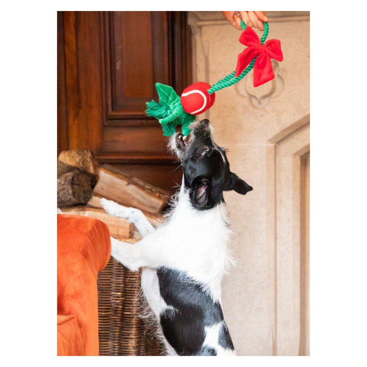 Holly Jolly Rope Toy