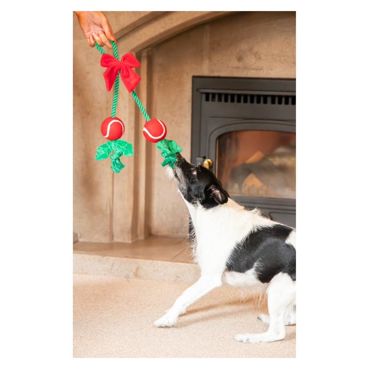 Holly Jolly Rope Toy, view 4