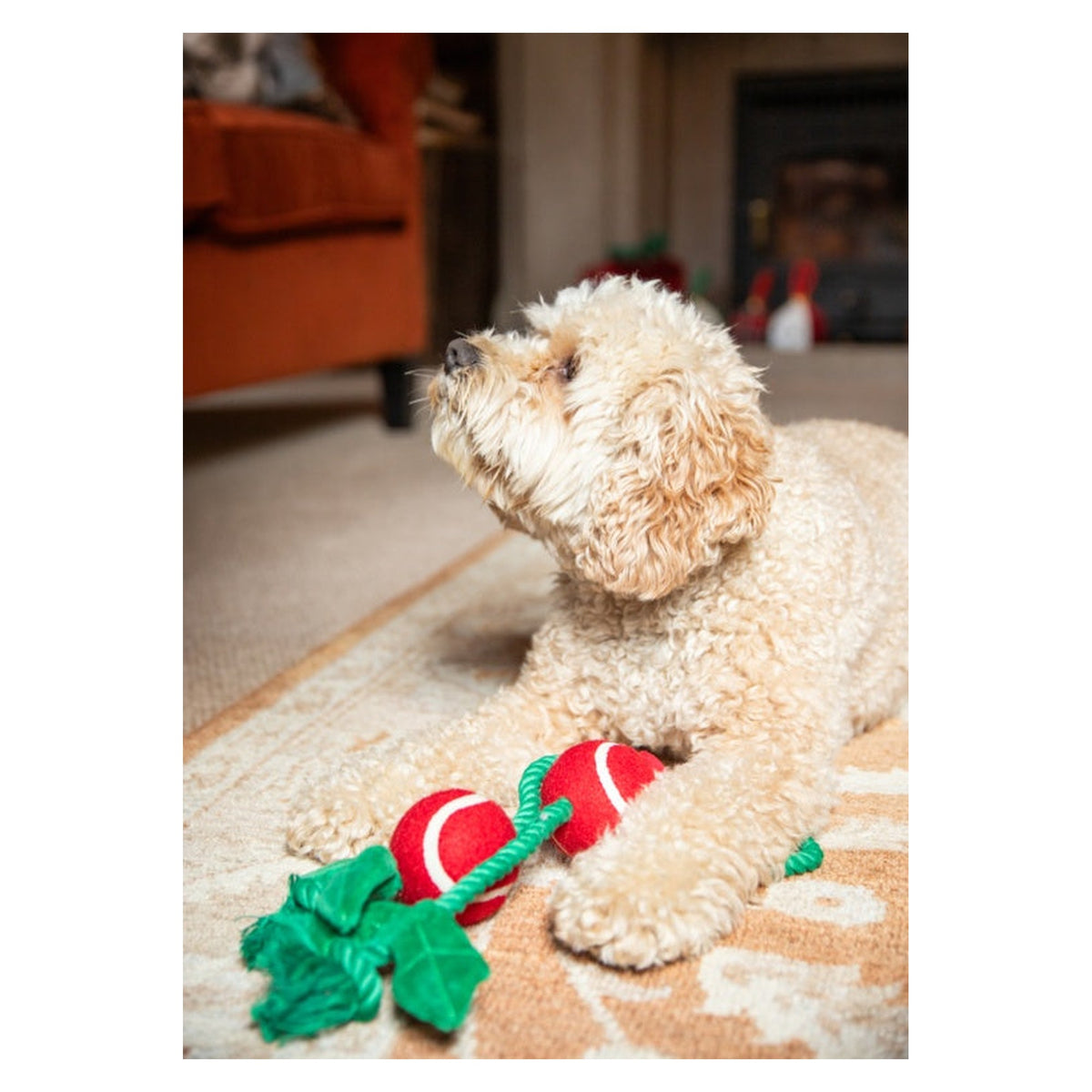 Holly Jolly Rope Toy, view 6
