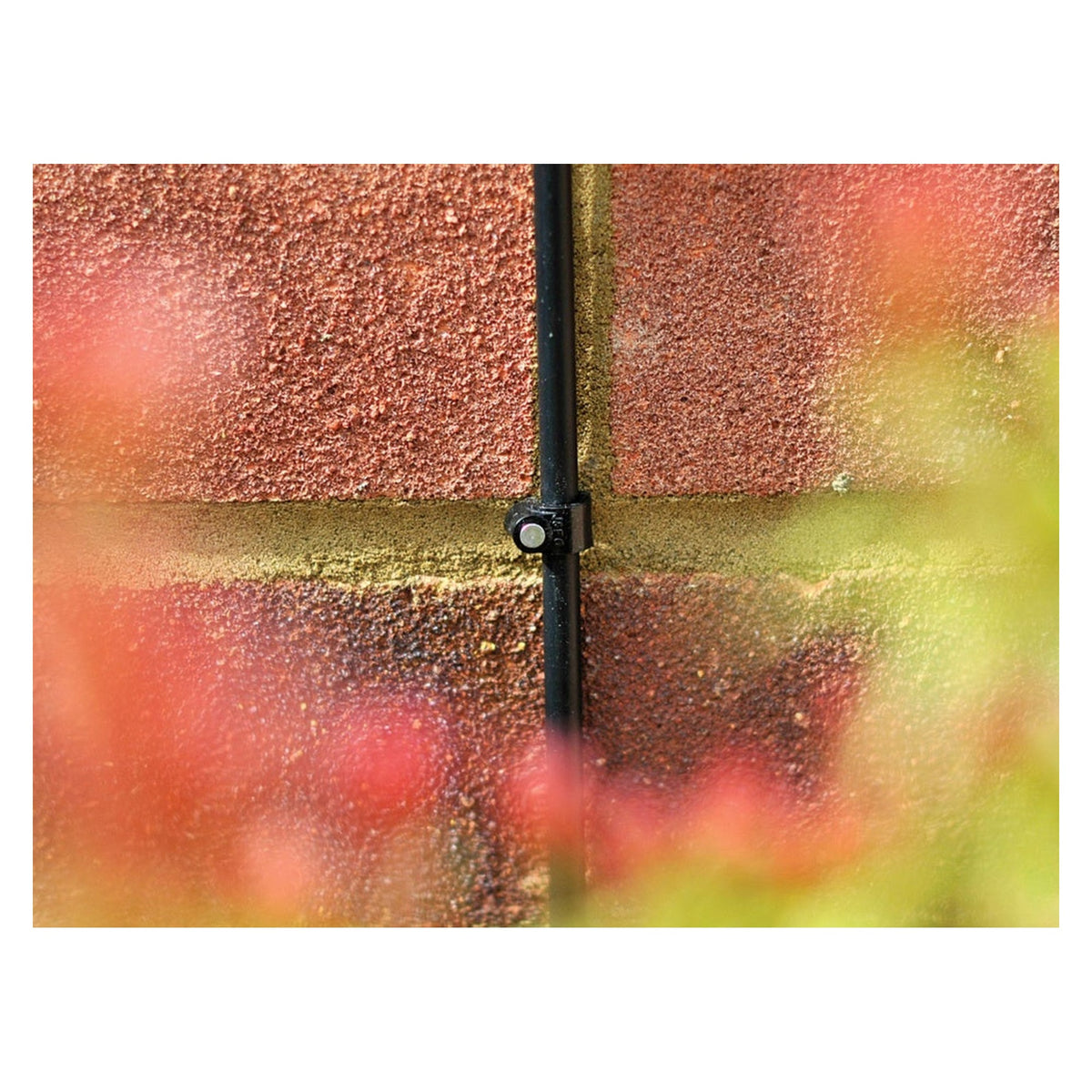 Pack of 12 Hozelock 13mm wall clips