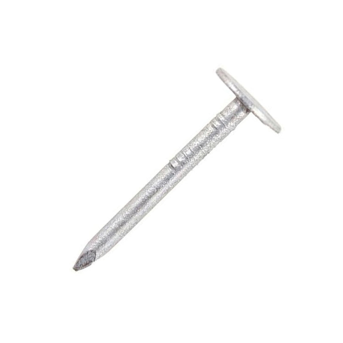 Large Head Clout Nails - 25mm 90g