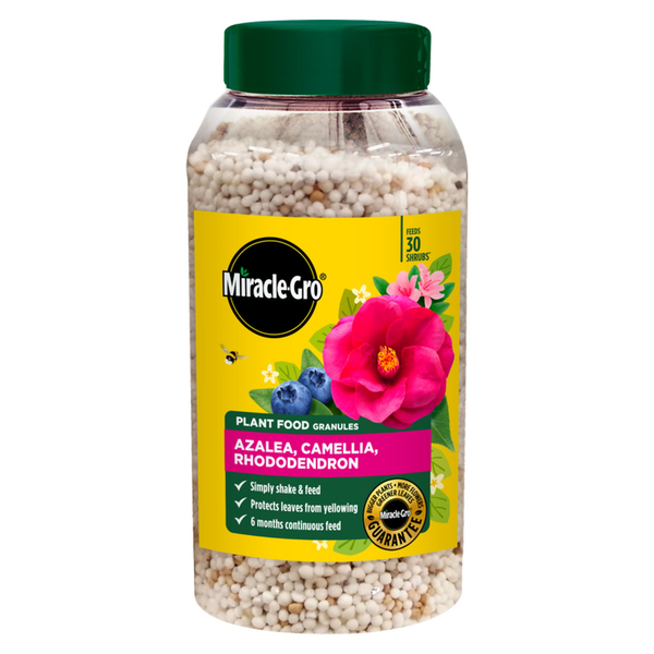 Miracle-Gro azalea camellia and rhododendron plant food 900g