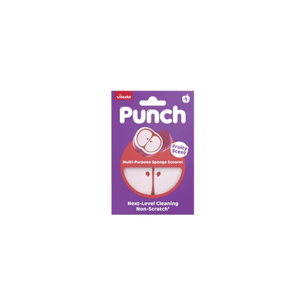 Multi Purpose Sponge Scourer - Apple