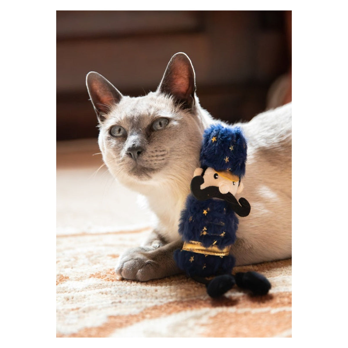 Ned Nutcracker