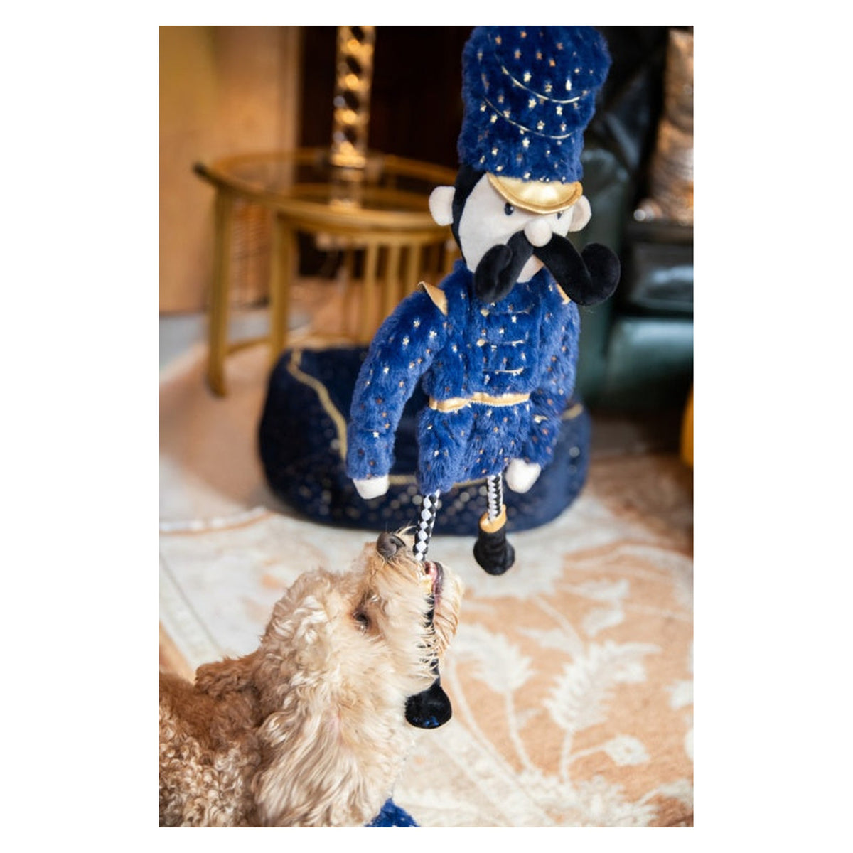 Nermal Nutcracker, view 4