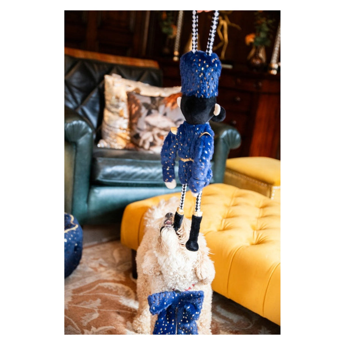 Nermal Nutcracker, view 5