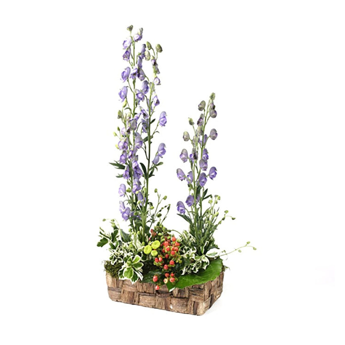 Oasis Ideal wet floral foam brick, view 4