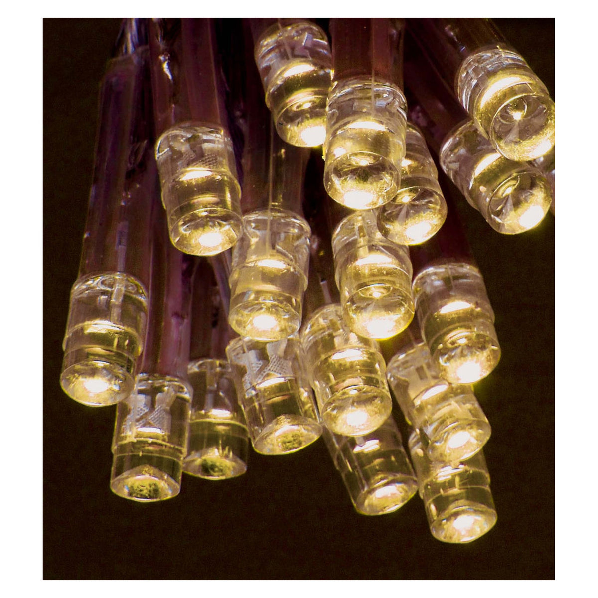 Premier battery operated 20 LED warm white lights