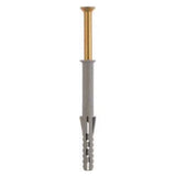 Rawlplug Frame Fixing - 10 x 160, Pack of 12