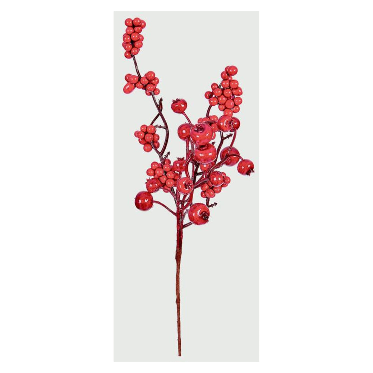 Red Berry Picks