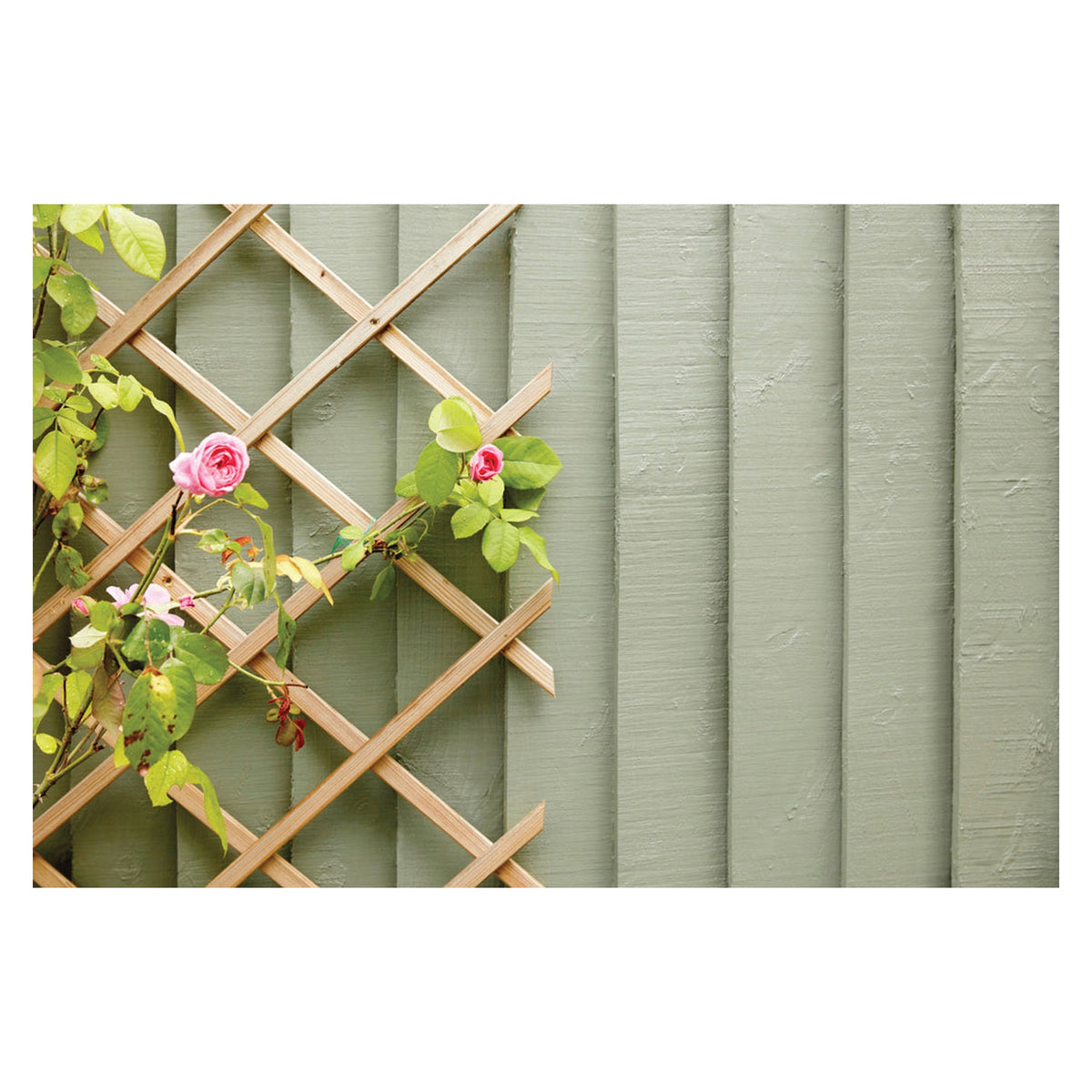 Ronseal Fence Life Plus Sage 5L, view 2