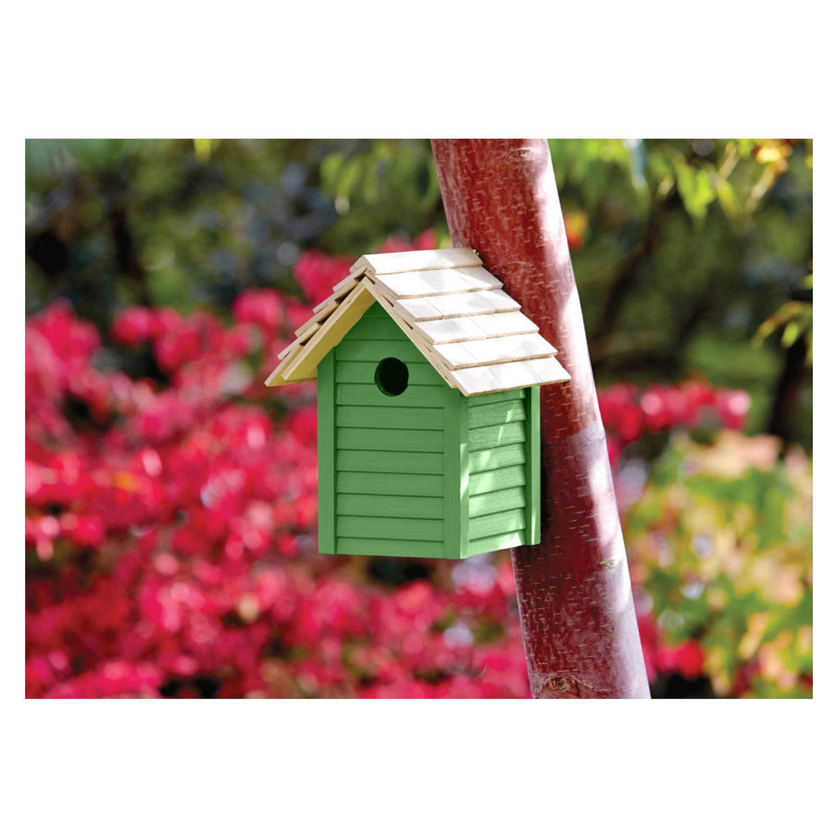 Ronseal Garden Paint 250ml in Clover, view 2