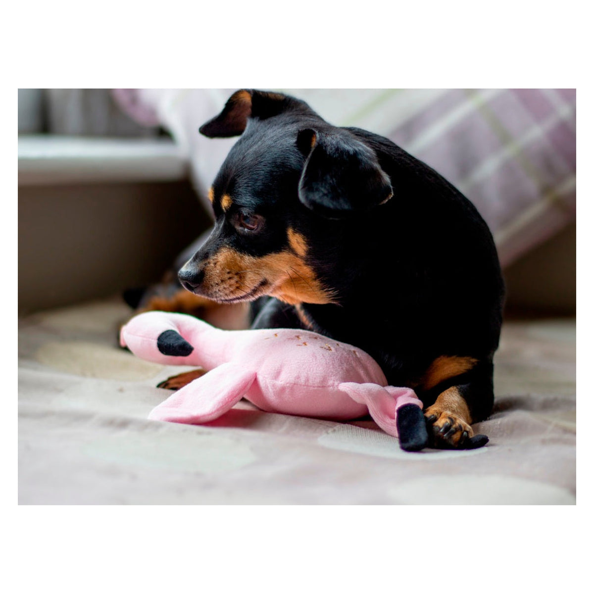 Rosewood eco friendly flamingo squeaky dog toy, view 5
