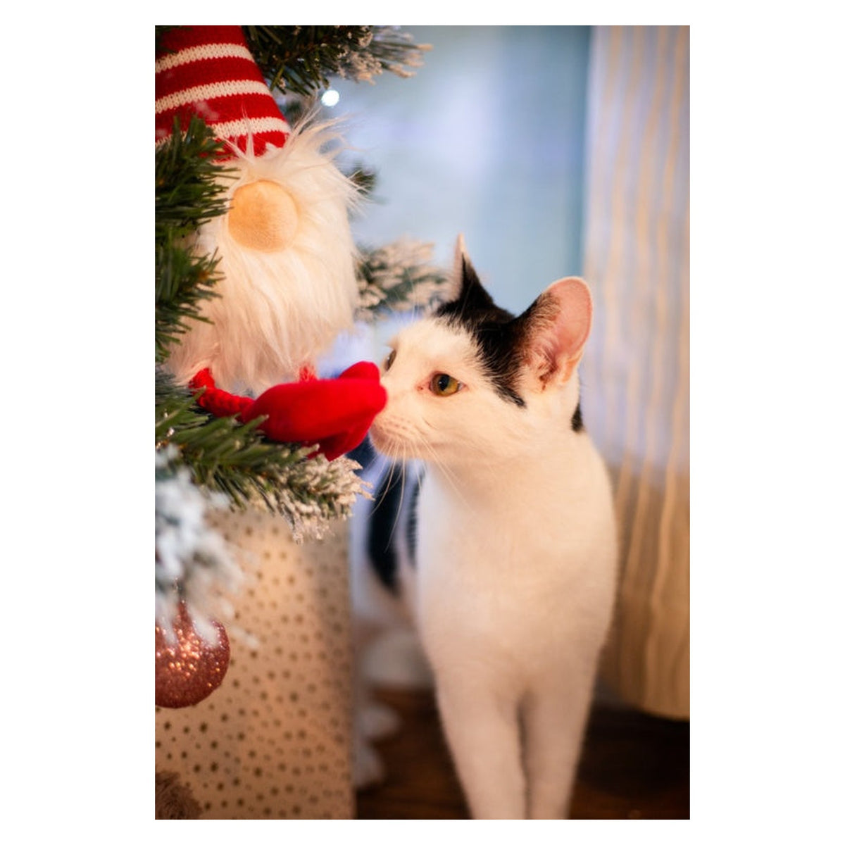 Rosewood Groopert Gonk festive plush gnome dog toy, view 3