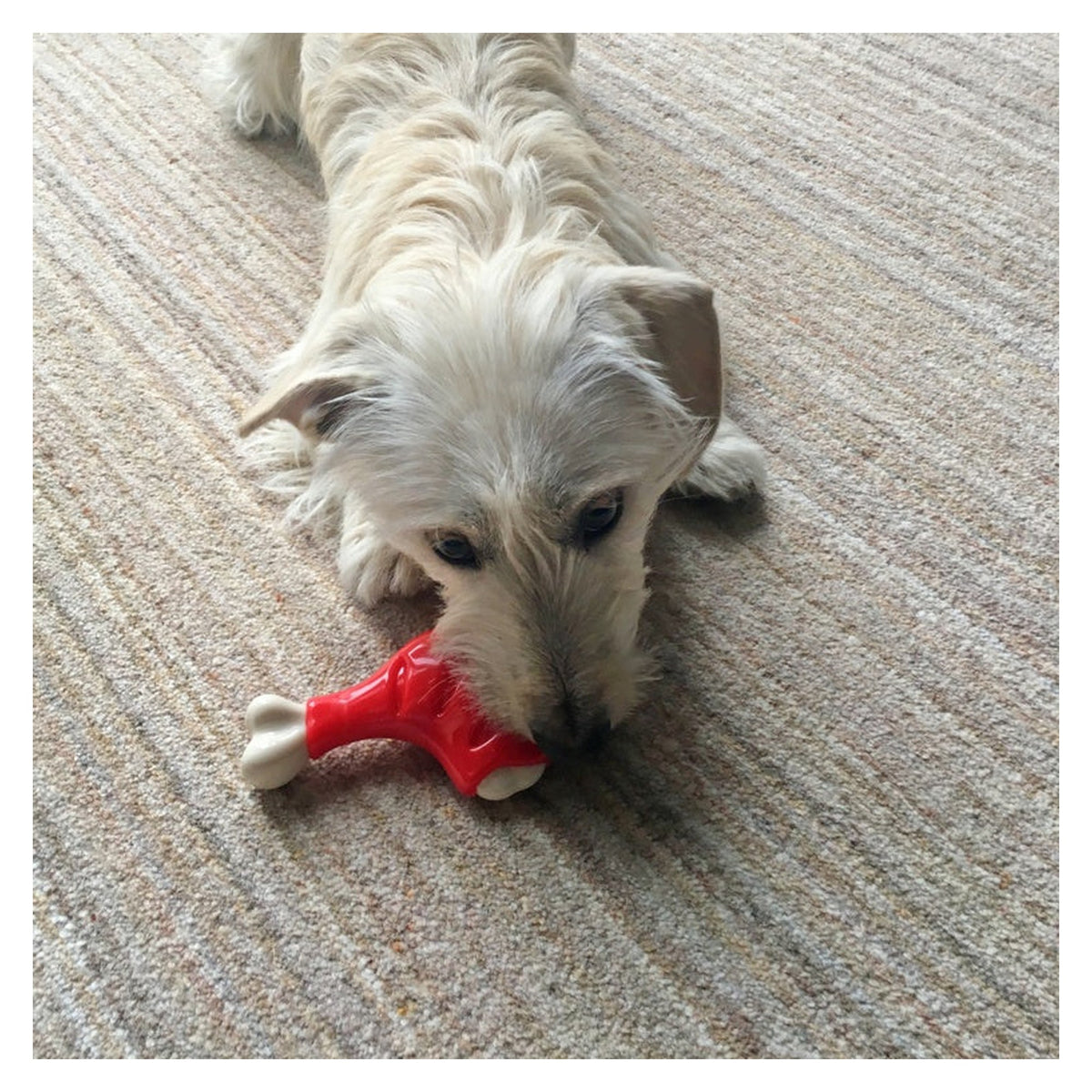 Rosewood Meaty Takeaways chicken leg dog toy, view 3