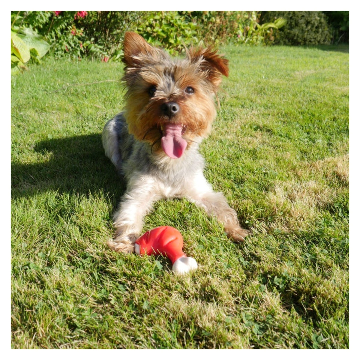 Rosewood Meaty Takeaways chicken leg dog toy, view 4
