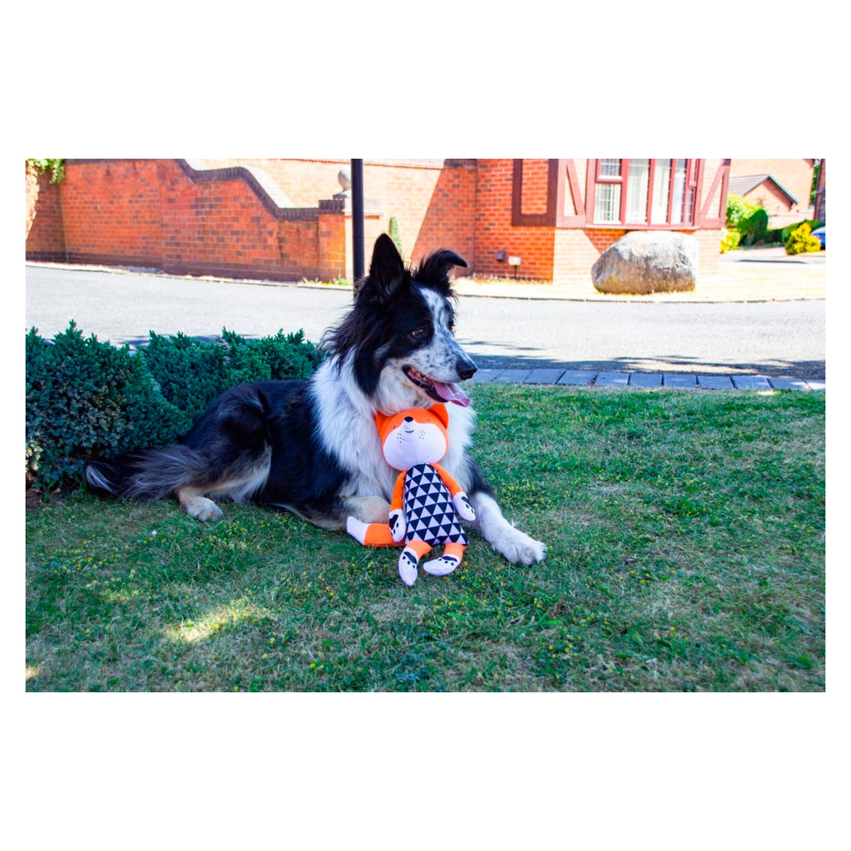 Rosewood Mr Fox dog toy, view 6