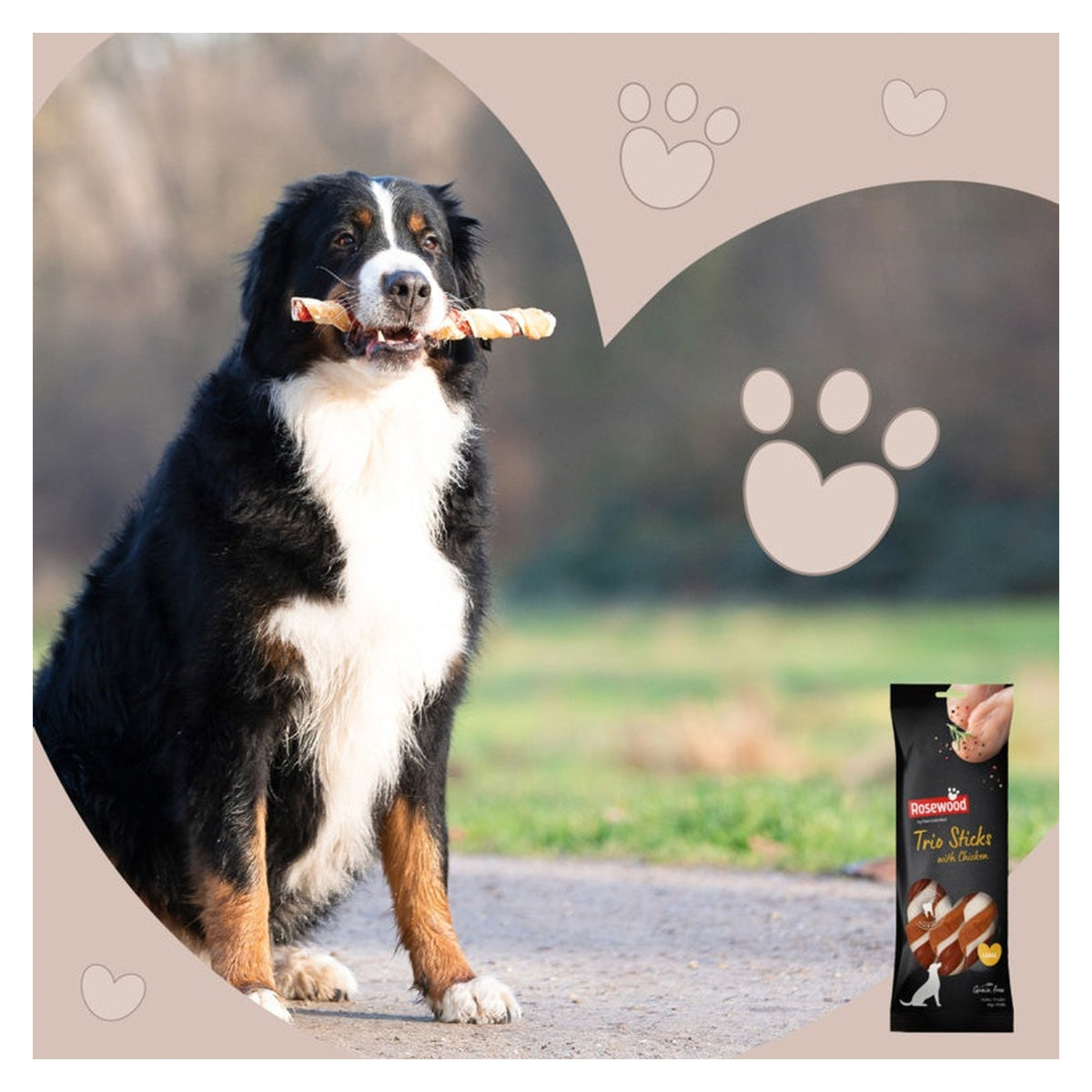 Rosewood Trio sticks with chicken dog treats, view 5