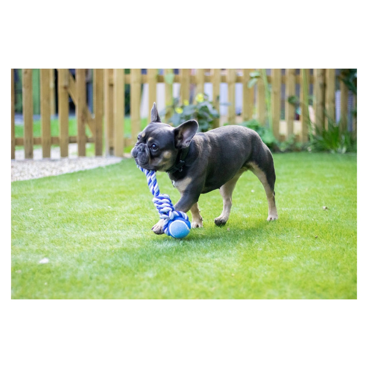 Rosewood twistable tennis ball dog tug toy, view 2