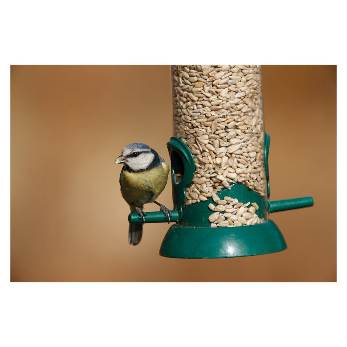 RSPB sunflower hearts 1.8kg bird food, view 2