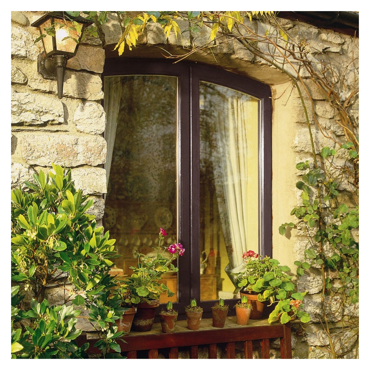 Sadolin Extra Durable Woodstain 2.5L in Dark Palisander, view 3