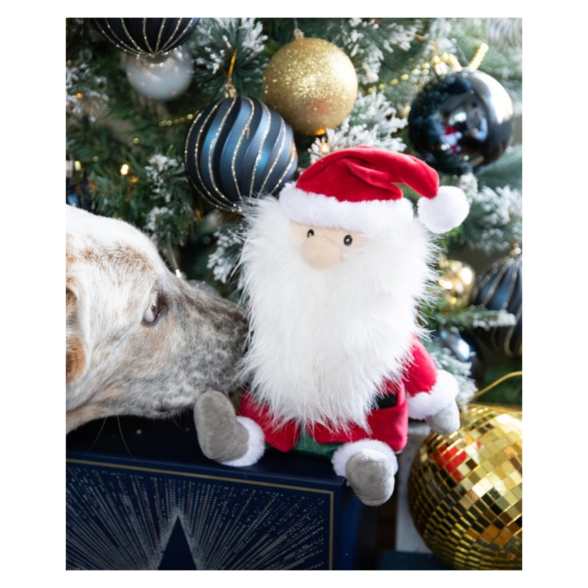 Sebastian Santa