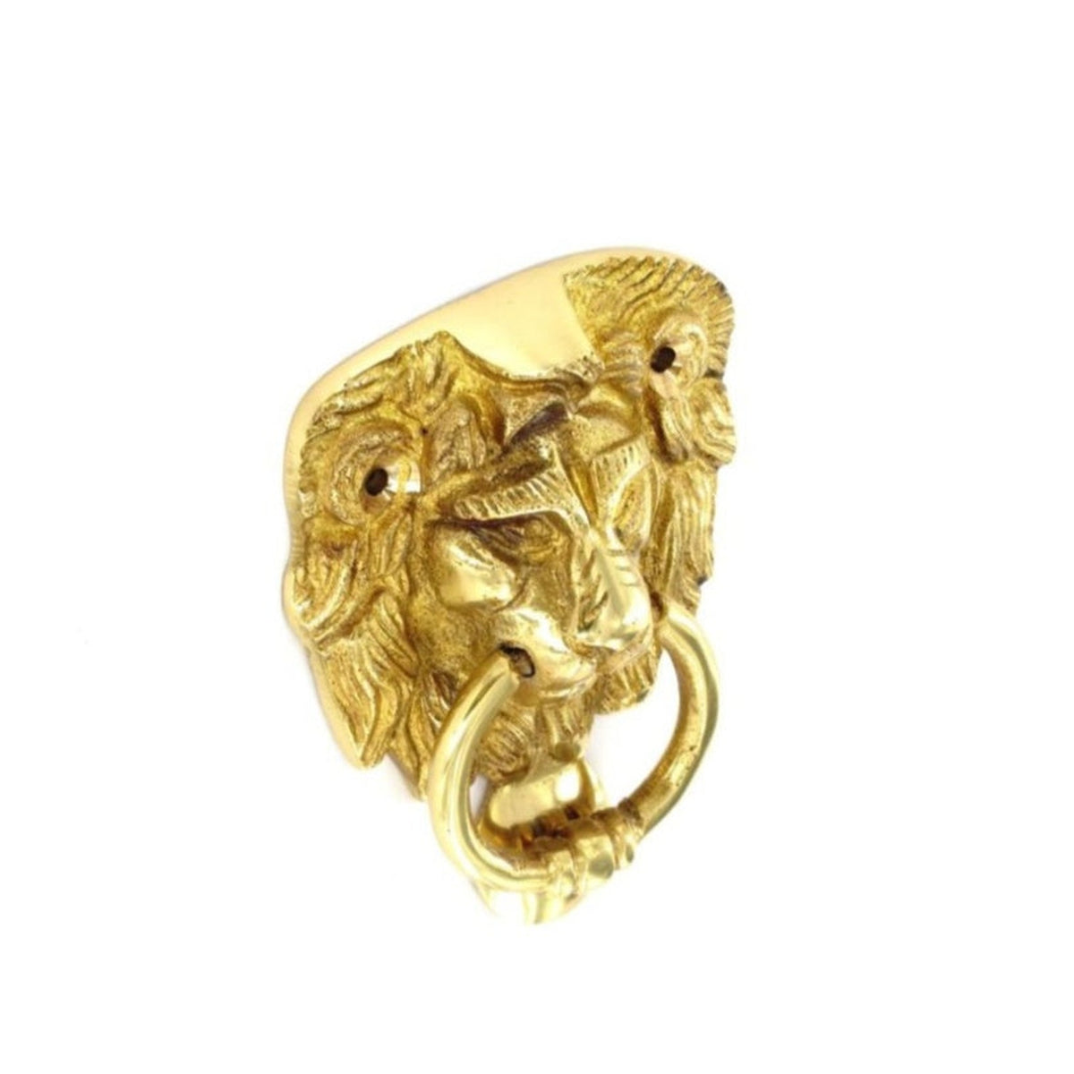 Securit brass lion head door knocker 100mm