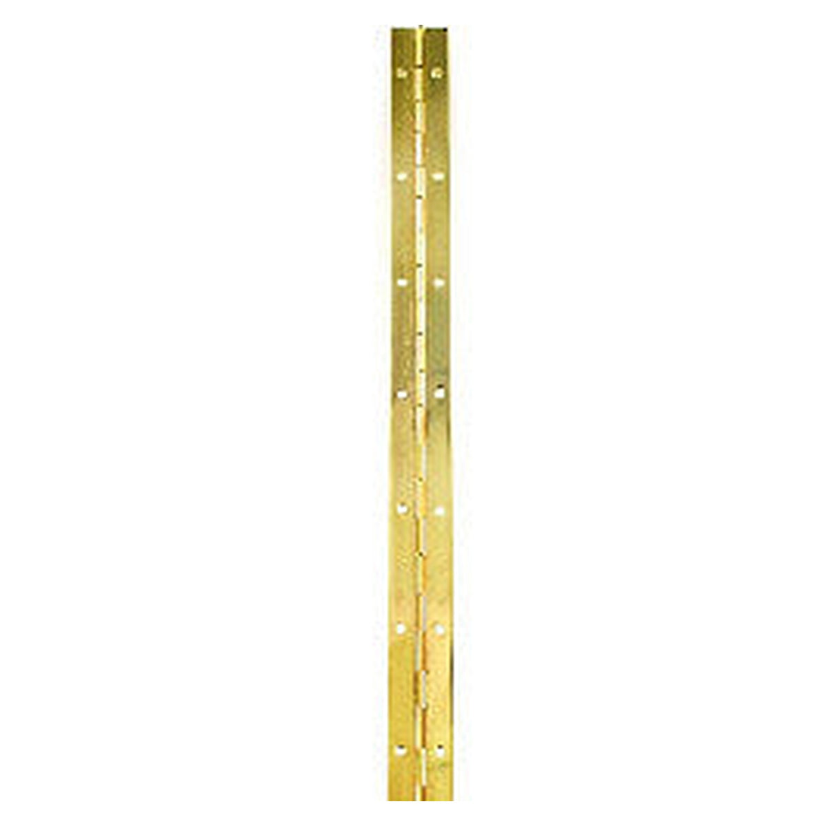Securit 6ft brass plated piano hinge