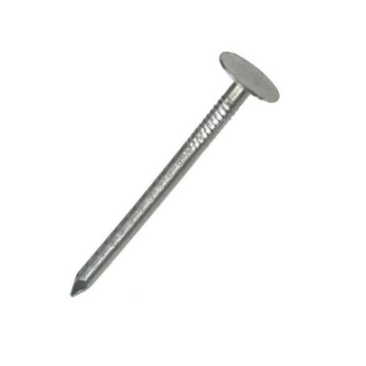 Securit 25mm galvanised clout nails, pack of 10