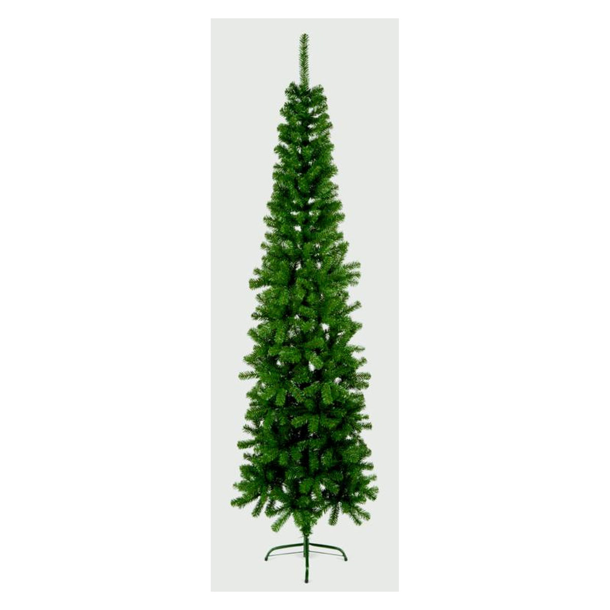 Spruce Pine - 2m